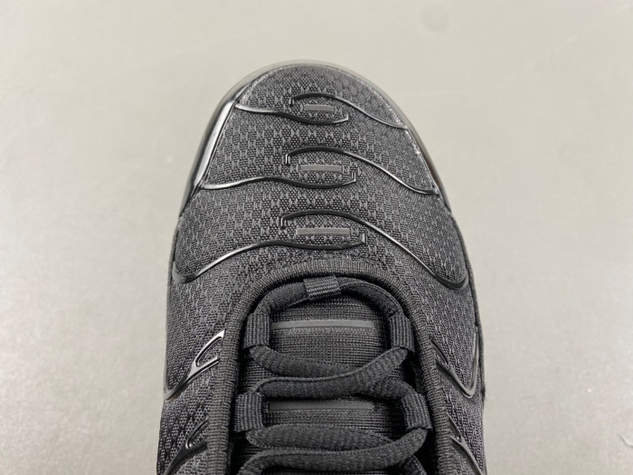 Nike Air Max Plus Triple Black 604133-050