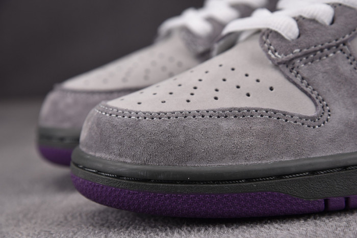 NIKE DUNK SB LOW PURPLE PIGEON 304292-051