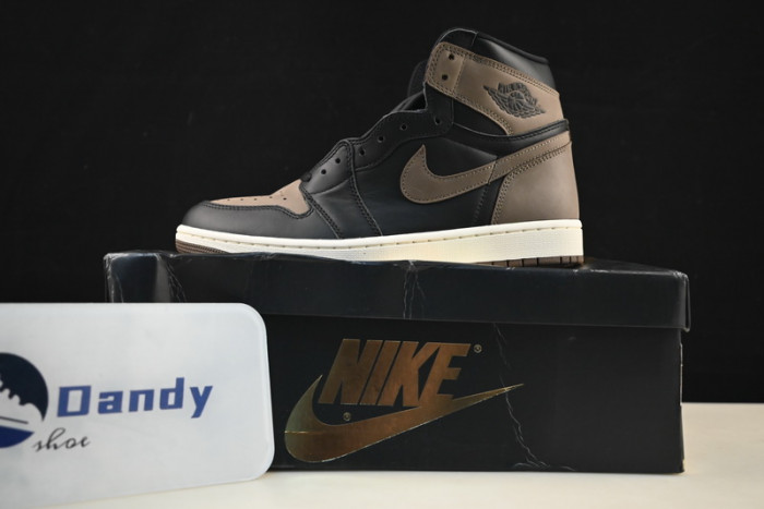 Air Jordan 1 Retro High OG “Palomino” DZ5485-020