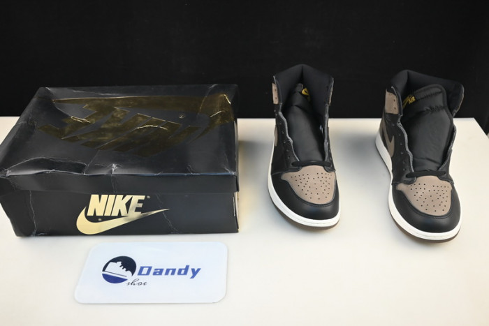 Air Jordan 1 Retro High OG “Palomino” DZ5485-020