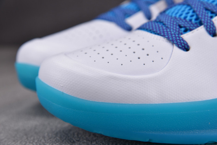 Nike Kobe 4 Protro Draft Day Hornets AV6339-100
