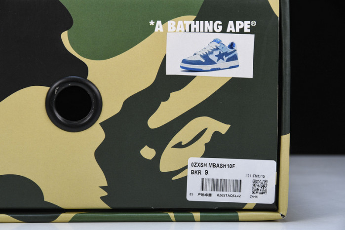 BAPE Shoe
