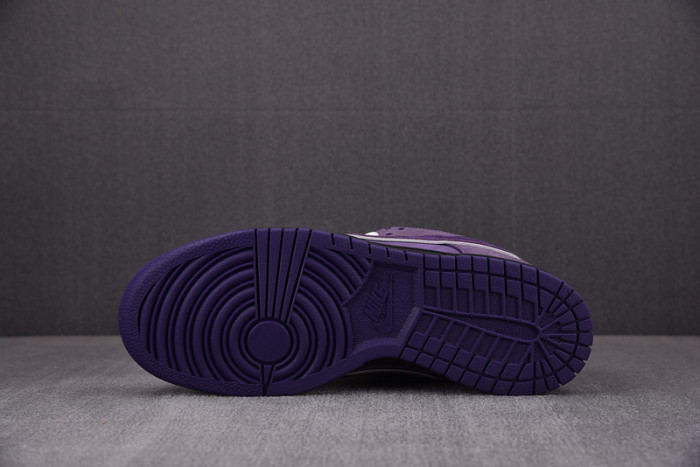 CONCEPTS X NK SB DUNK LOW "PURPLE LOBSTER" BV1310-555