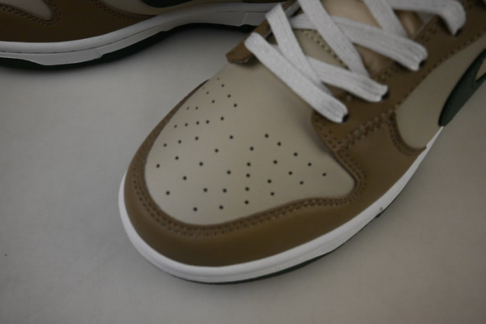 Nike Dunk Low Retro FB7160-231