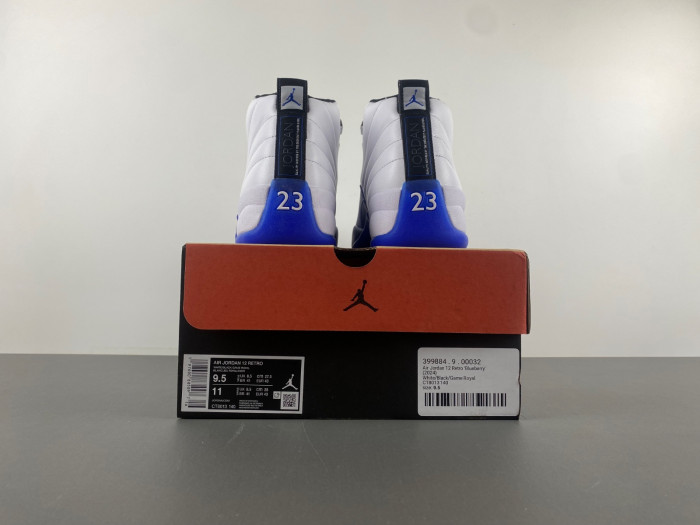 Air Jordan 12 “Blueberry” CT8013-140
