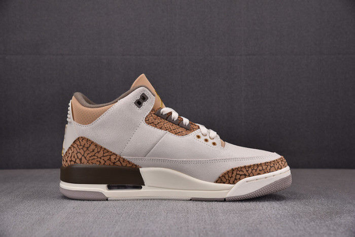 Air Jordan 3 “Palomino” CT8532-102