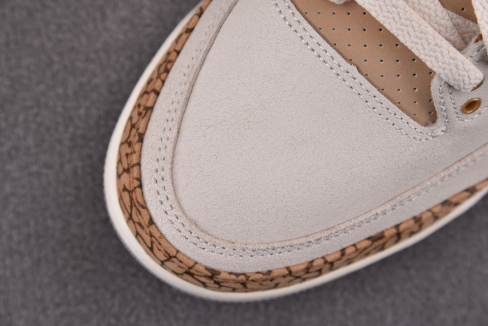 Air Jordan 3 “Palomino” CT8532-102