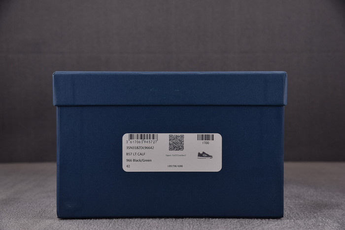 D10R B57 LOW SNEAKER