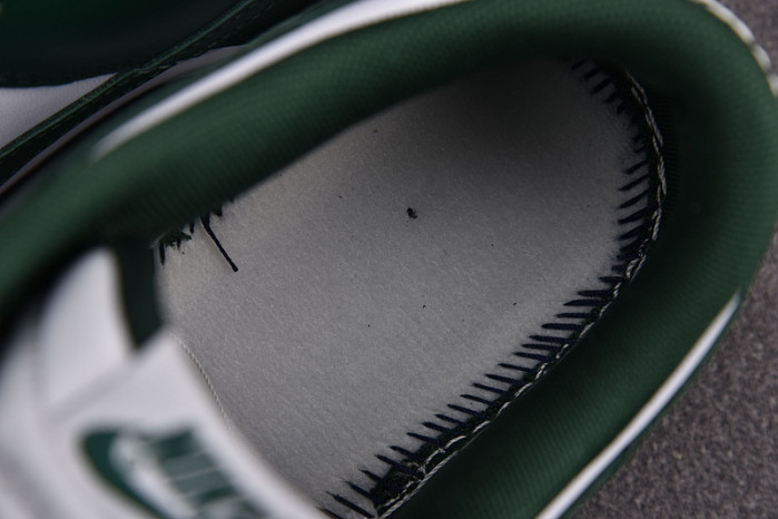 NIKE DUNK LOW MICHIGAN DD1391-101