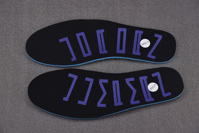 Air Jordan 1 Low“Concord” DV1309-100